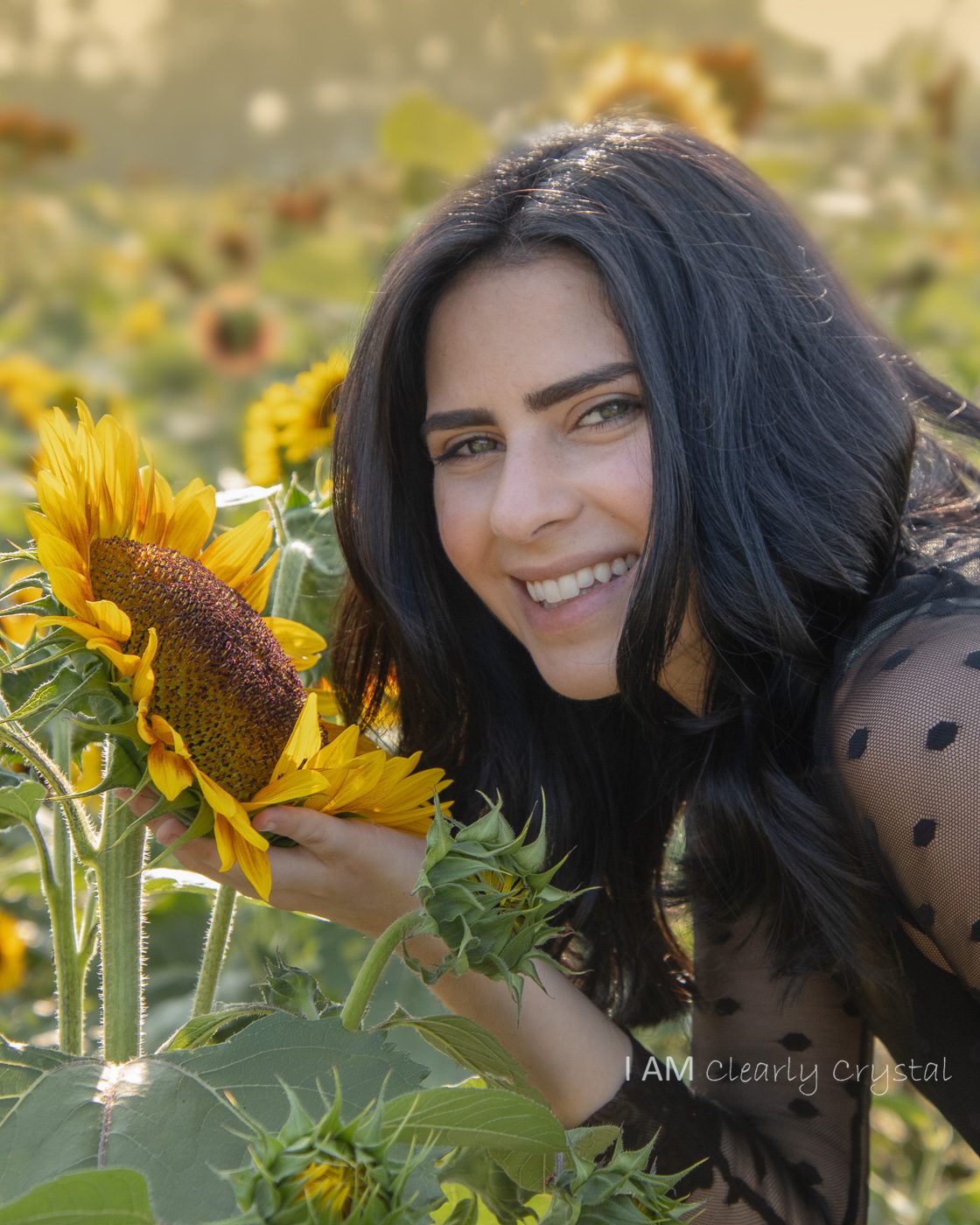 daughter portrait in sunflowers