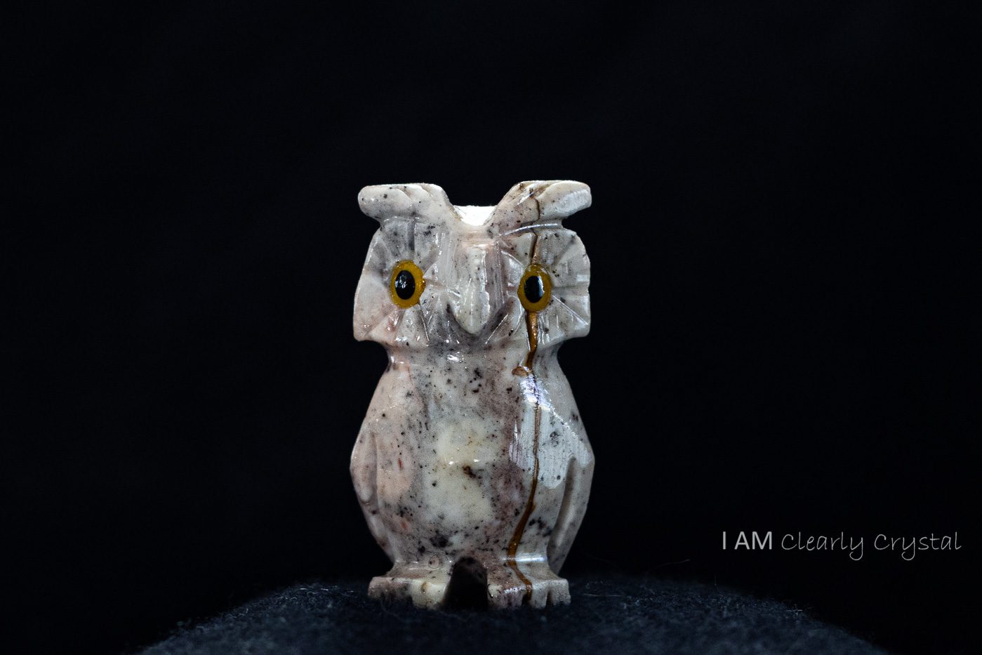 macro still life owl with black background