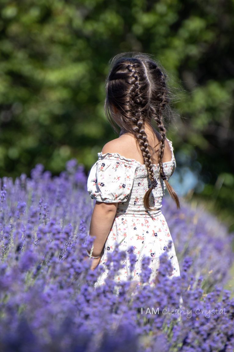 lavender fields, grandchildren, nature portrait