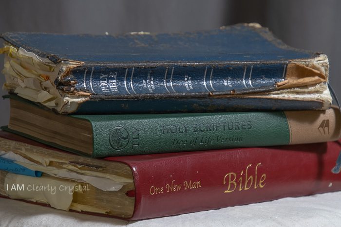 bibles