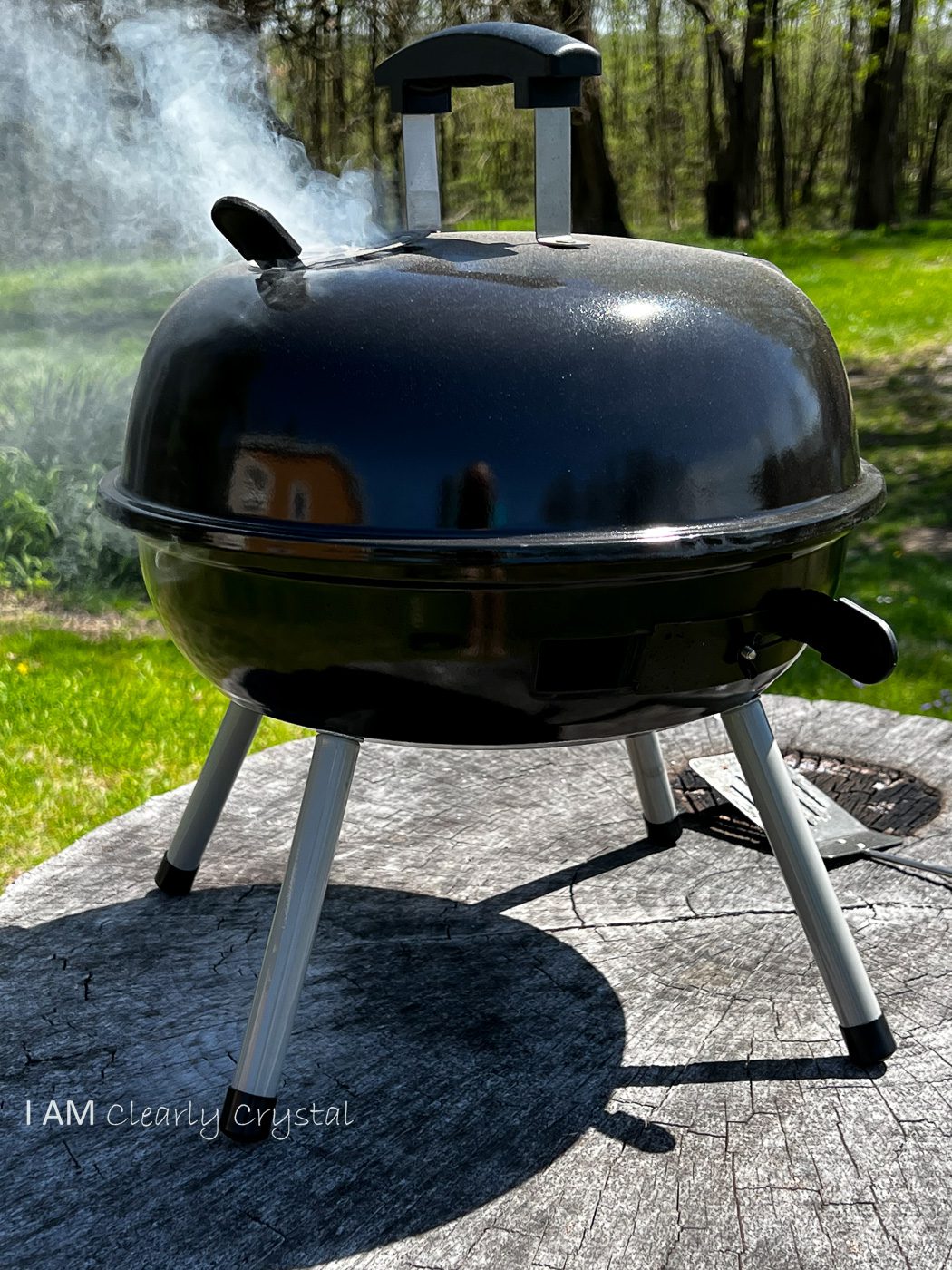 portable grill