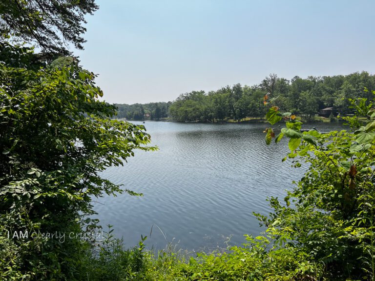 lake view