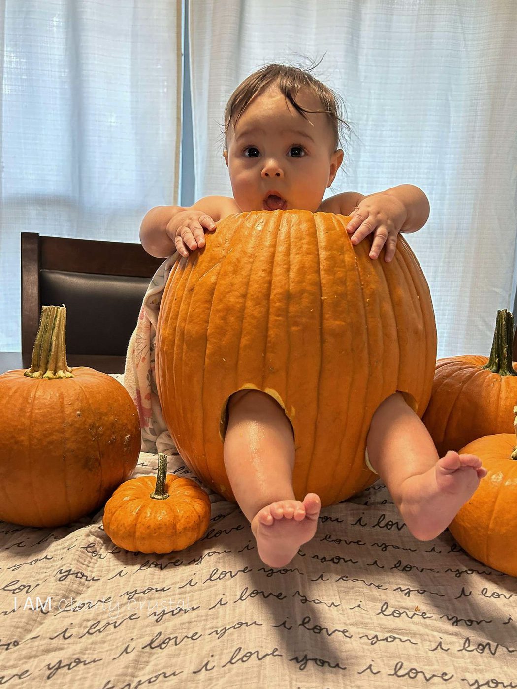 baby in pumpkin