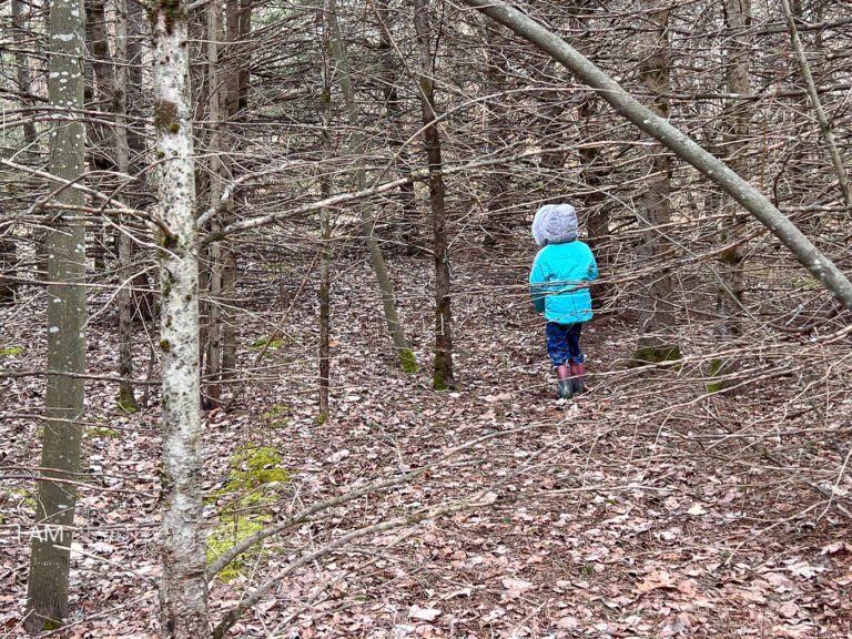 child in woods