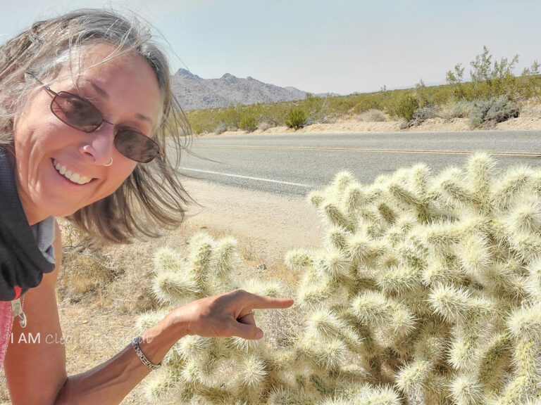 woman pointing to cactus