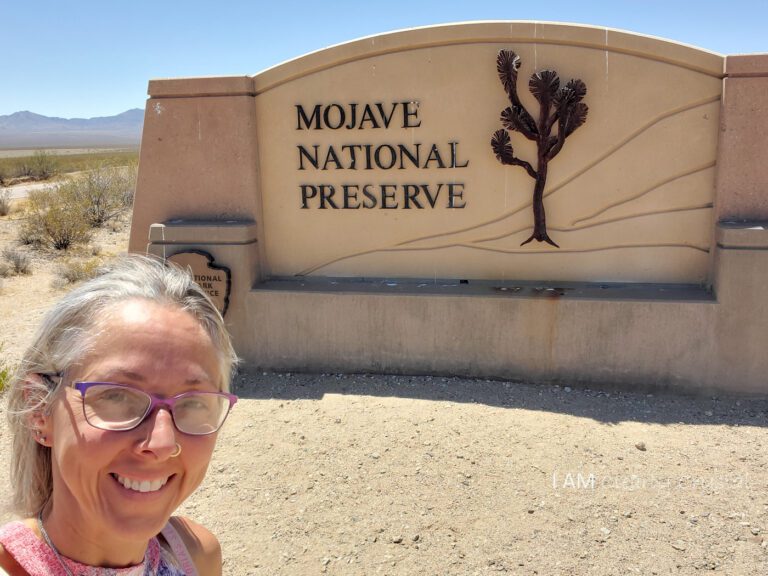 Mojave Desert selfie