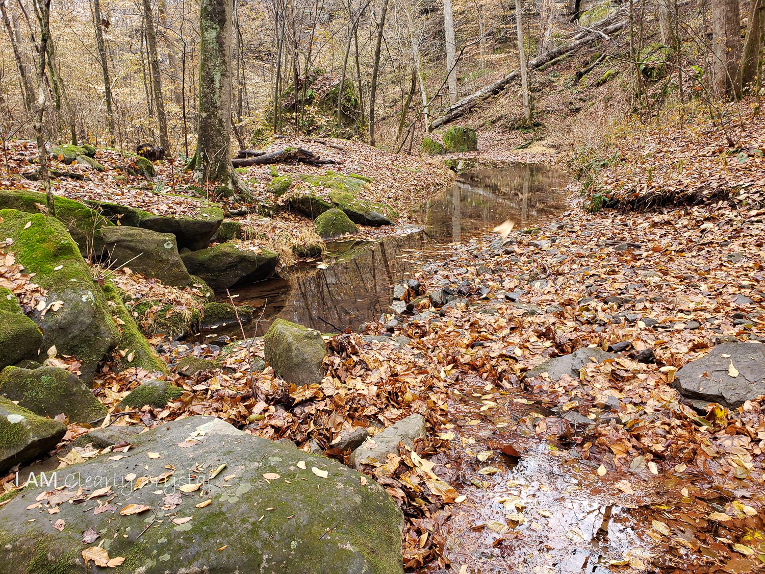 stream in fall