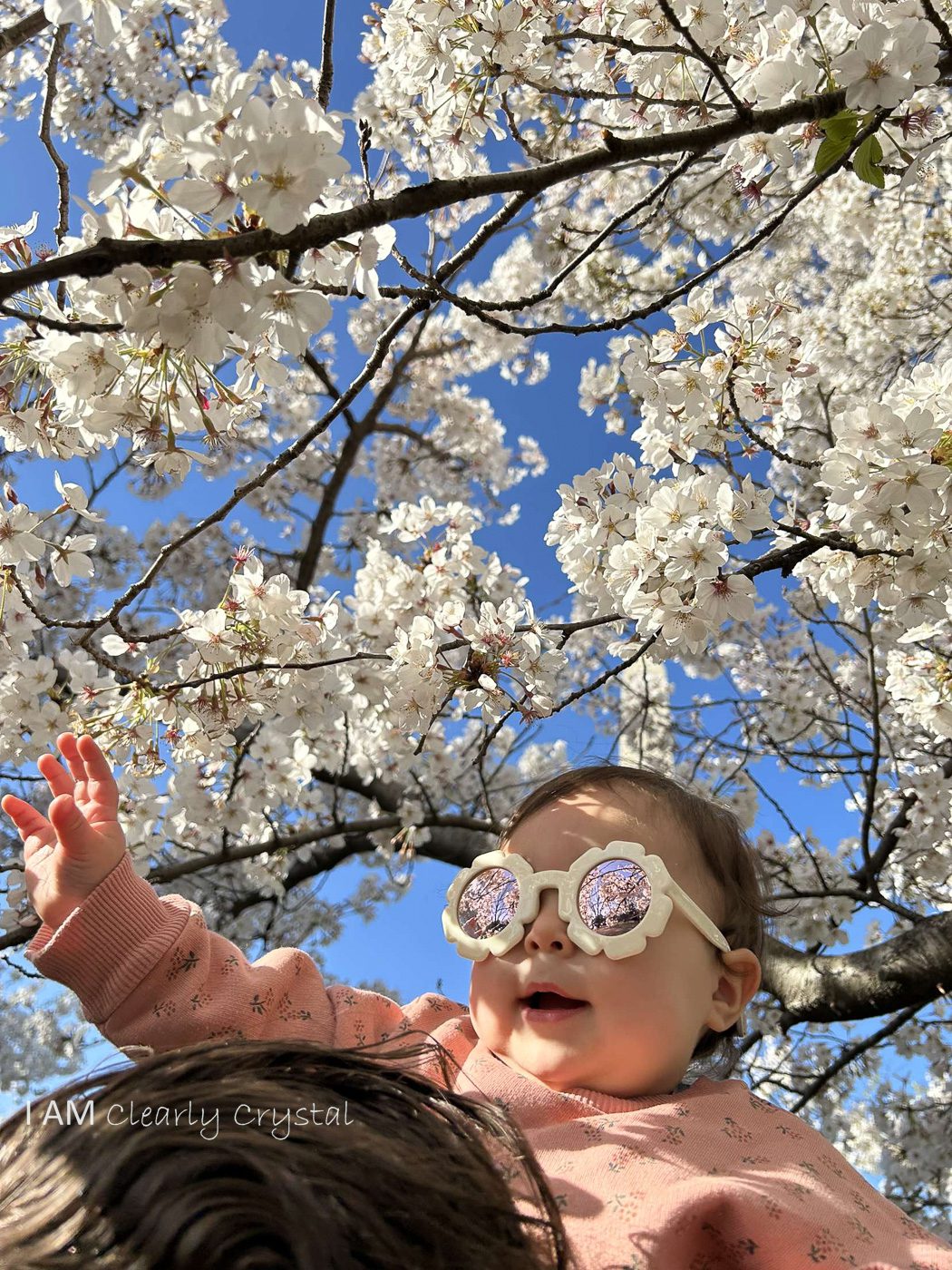 Baby with flowers on tree