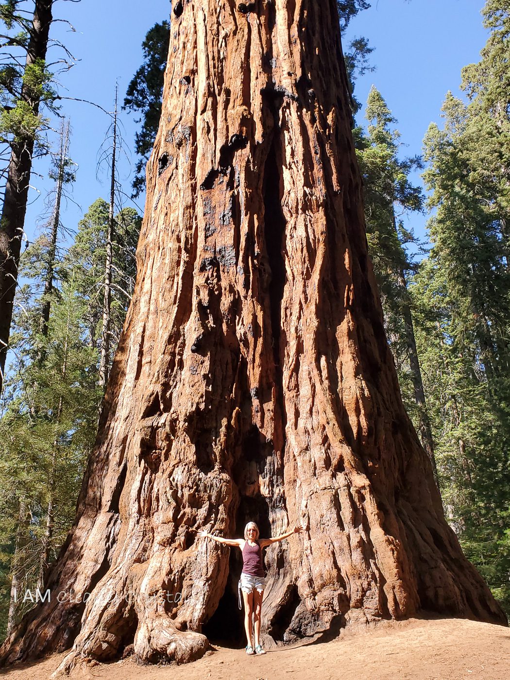 woman in front of Sequoia tree